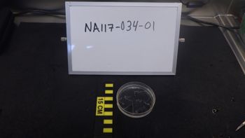 Media type: image;   Invertebrate Zoology 153512 Description: live specimen;